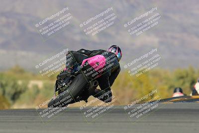 media/Feb-04-2023-SoCal Trackdays (Sat) [[8a776bf2c3]]/Turn 9 Backside (145pm)/